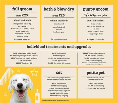 How much does it cost to groom a dog. Things To Know About How much does it cost to groom a dog. 